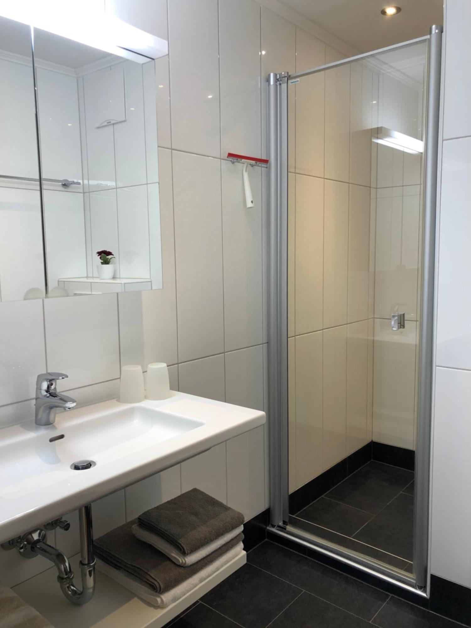 Appartement Schwab Ski In & Out Schladming Eksteriør billede